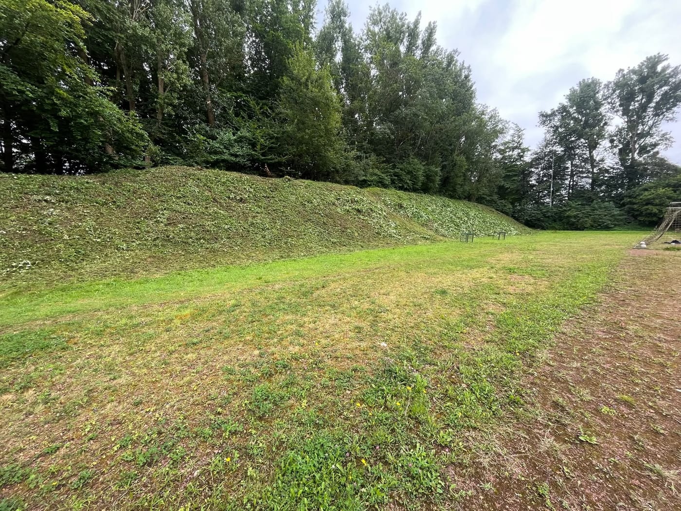 Gemähte Hangfläche neben dem Sportplatz