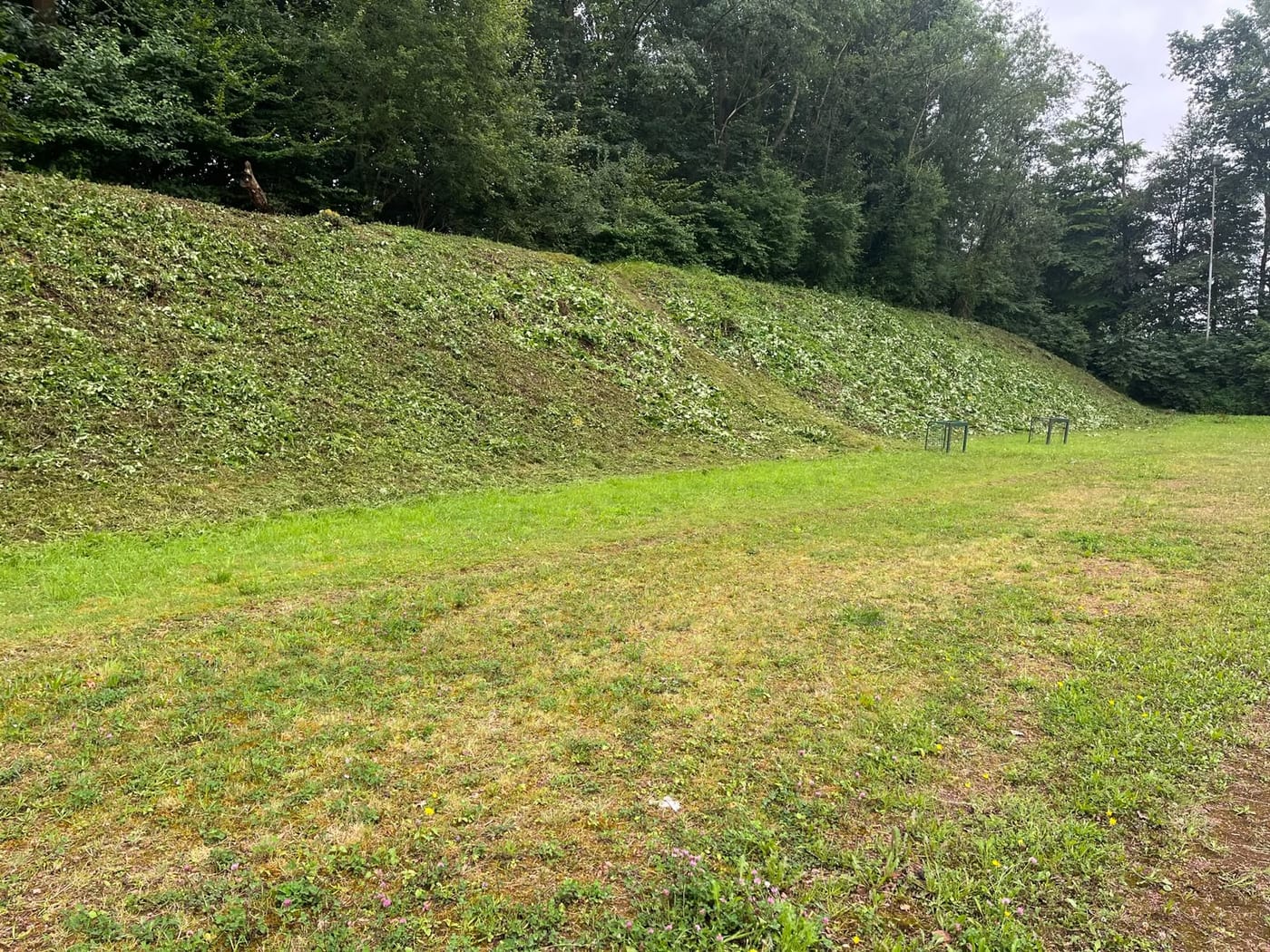 Frisch gemähte Böschung an einem Sportplatz