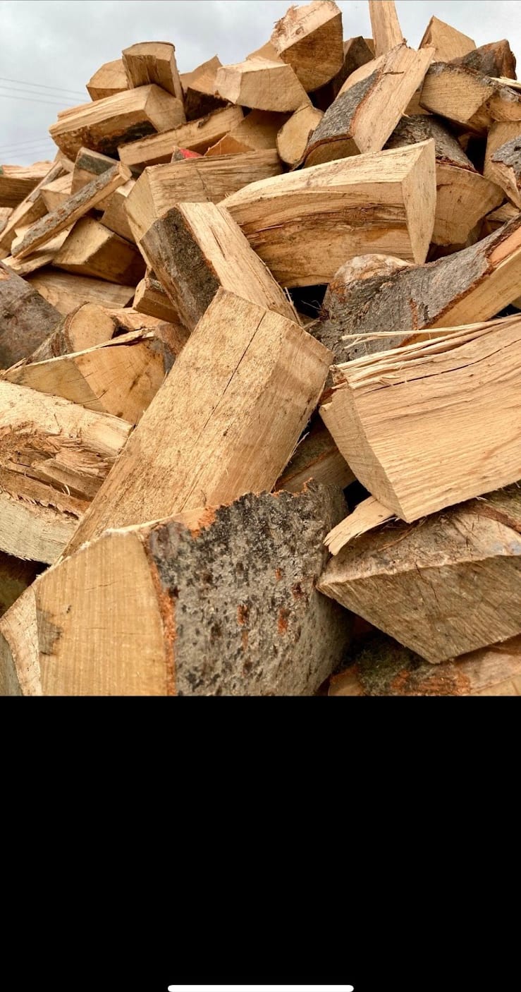 Frisch gespaltene Buchenscheite