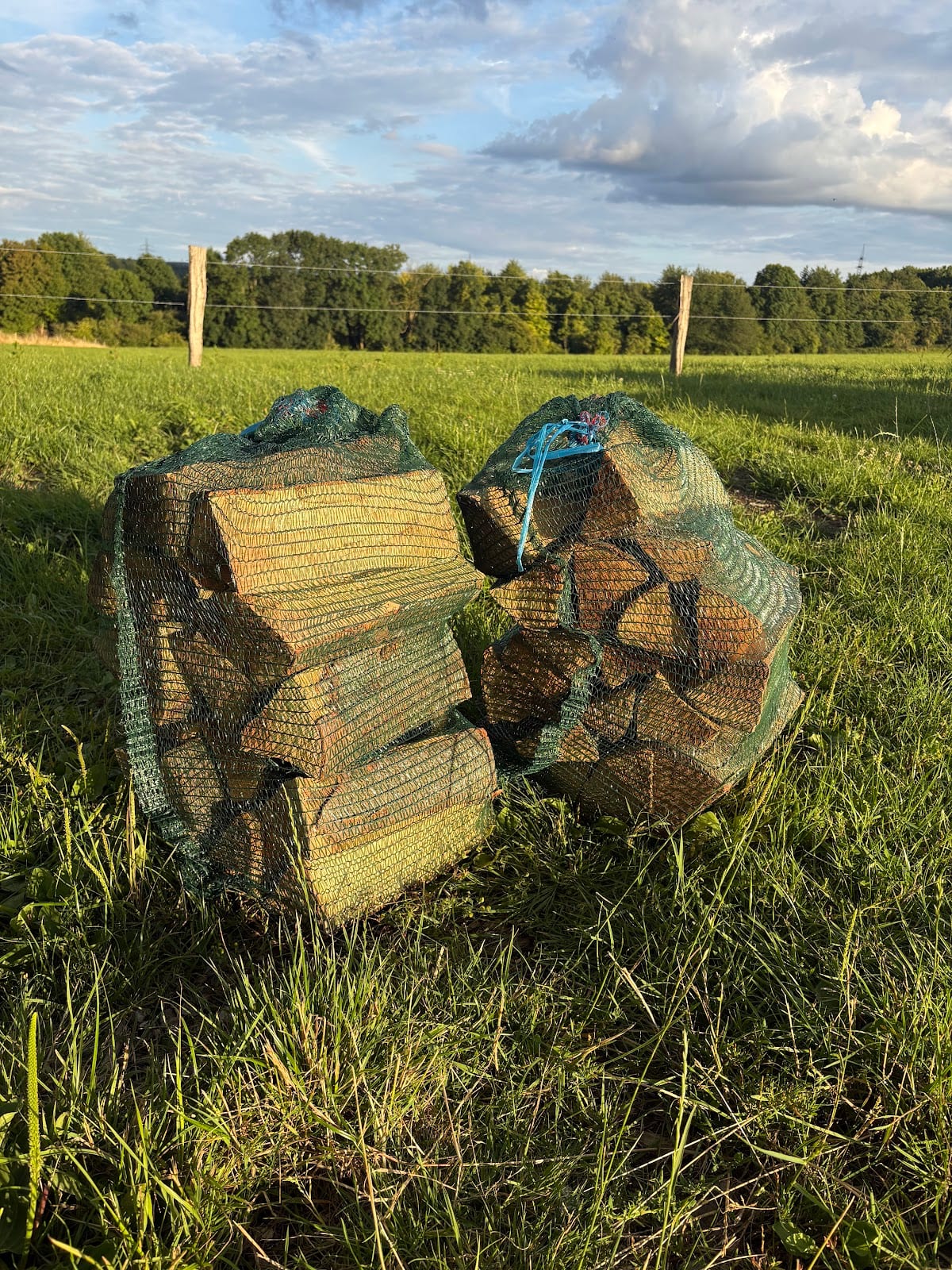 Zwei Netzsäcke mit Brennholz auf einer Wiese im Abendlicht