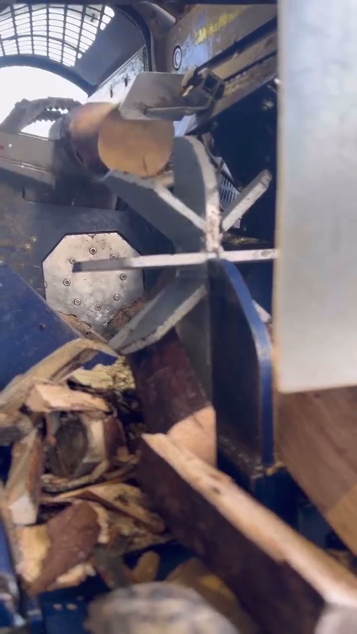 Holzspalter mit Kreuzmesser beim Spalten eines Buchenstamms
